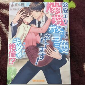 公安エリートに溺愛警護されています!