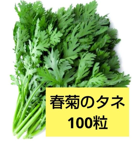 春菊 種 100粒