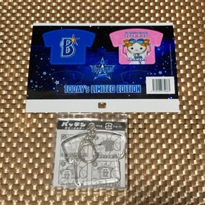 2024.9.25巨人戦 観戦記念キーホルダー