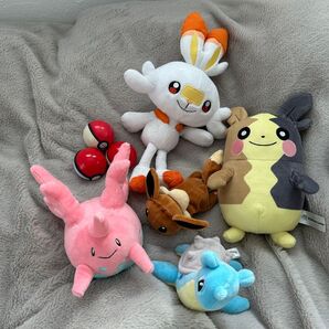 ポケモン ぬいぐるみ まとめ売り イーブイ サニーゴ ラプラス ヒバニー モルペコ