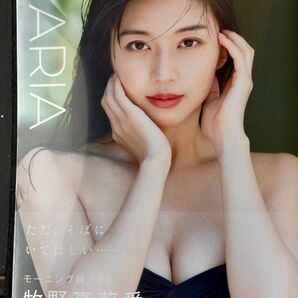 牧野真莉愛 写真集 DearMaria新品未開封 アップトゥボーイ 大型ポスター付きセット販売