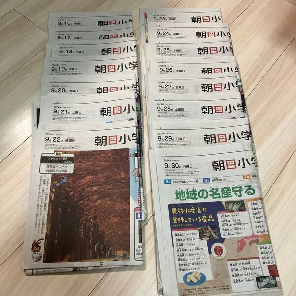 朝日小学生新聞 半月分