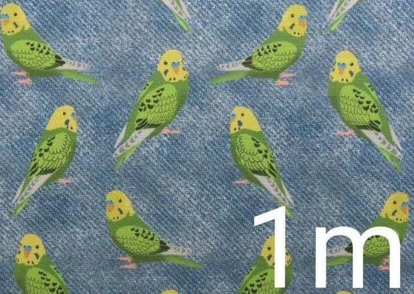 【ゆきちゃん限定】X187 セキセイインコ×デニム柄 コットン生地 ブルー 1m