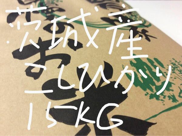 茨城産こしひかり米　15kg 送料無料