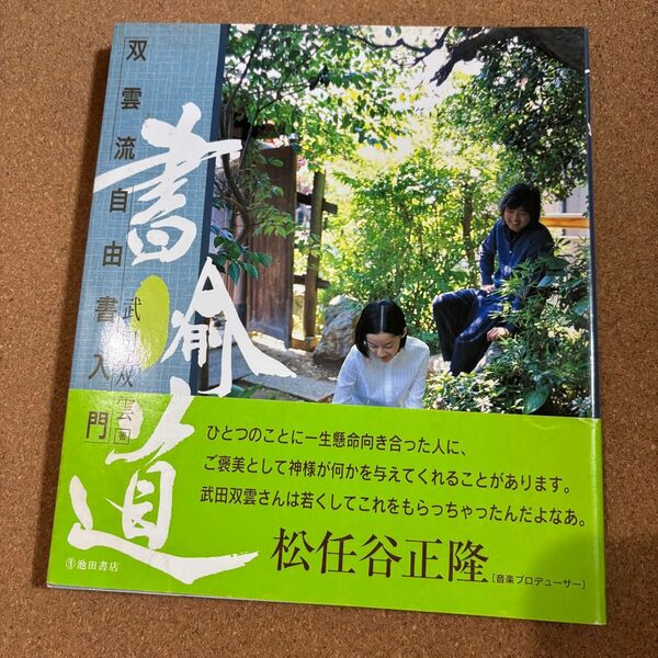 書愉道 双雲流自由書入門 武田双雲