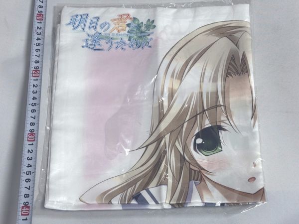 2025年最新】Yahoo!オークション -明日の君と逢うためにの中古品