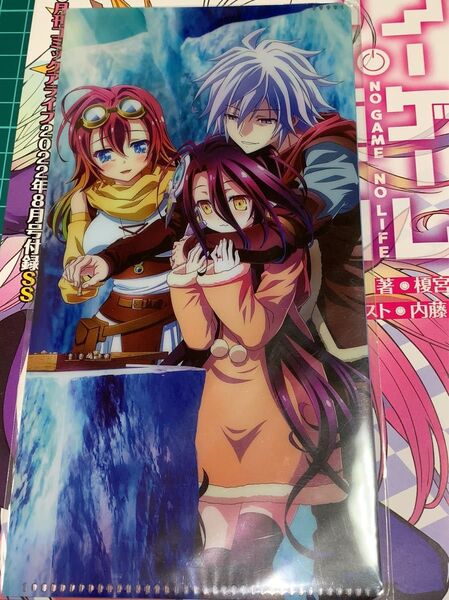 ノーゲーム・ノーライフ チケットホルダー