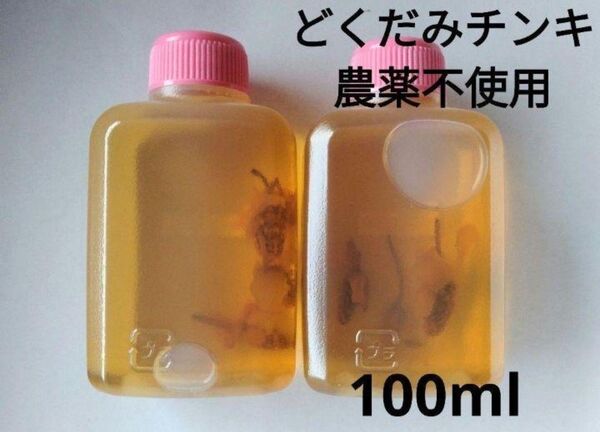 どくだみエキス 100ml 農薬・栽培期間中不使用