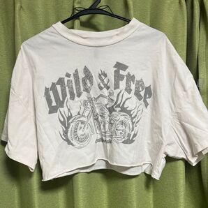 Tシャツ