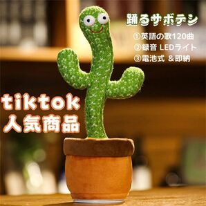 踊るサボテン おもちゃ ダンスサボテン 揺動サボテン 面白い かわいい 笑い 友達 プレゼント 子供 歌 英語 知育玩具