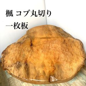 楓 こぶあり 丸切り一枚板