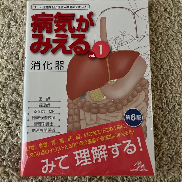 病気がみえる 見える 消化器