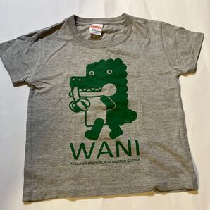 熱川ばにおTシャツ 120