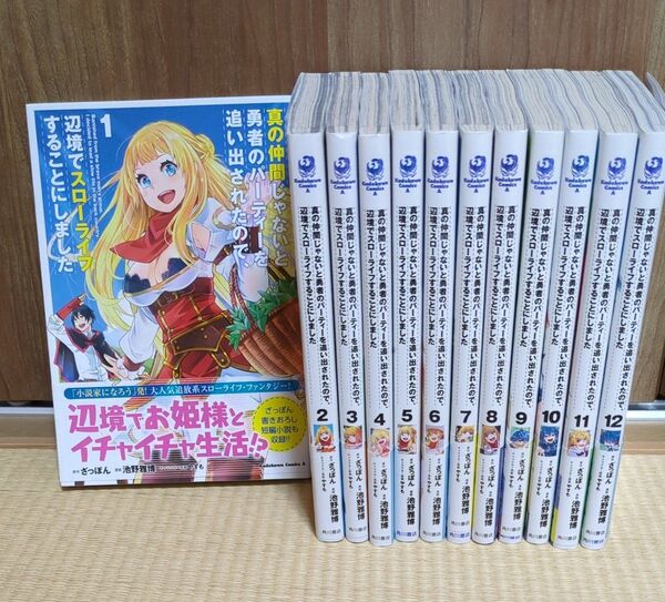 真の仲間じゃないと勇者のパーティーを追い出されたので、辺境でスローライフすることにしました 1〜12巻セット