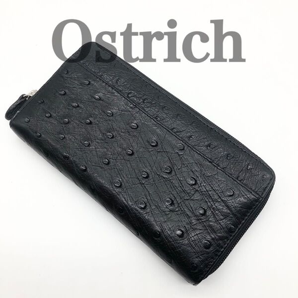 【極美品】オーストリッチ ダチョウ革 長財布 ロングウォレット ラウンドファスナー