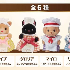 シルバニアファミリー 赤ちゃんといっしょセット ペンギンの赤ちゃん 森のキッチン シルバニア キッピー 40周年限定