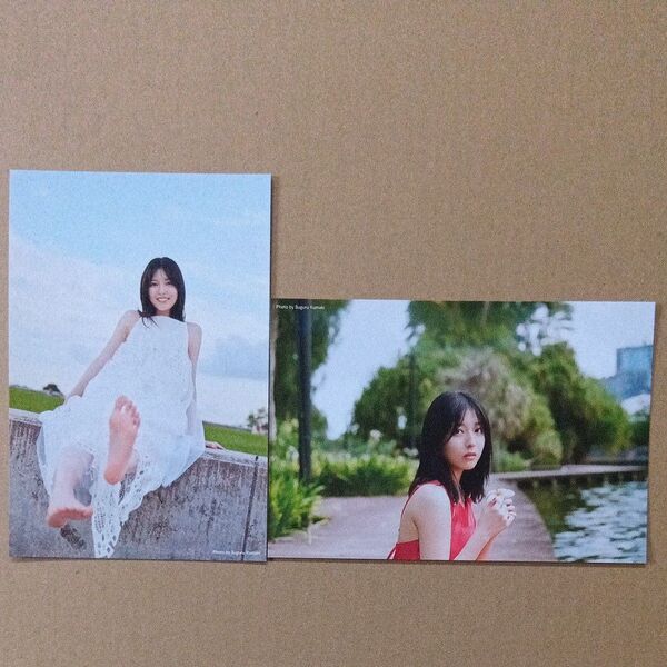 乃木坂46 早川聖来 写真集 タワレコ限定 ポストカード