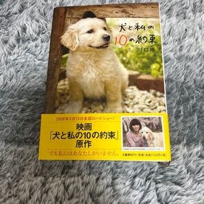 犬と私の10の約束