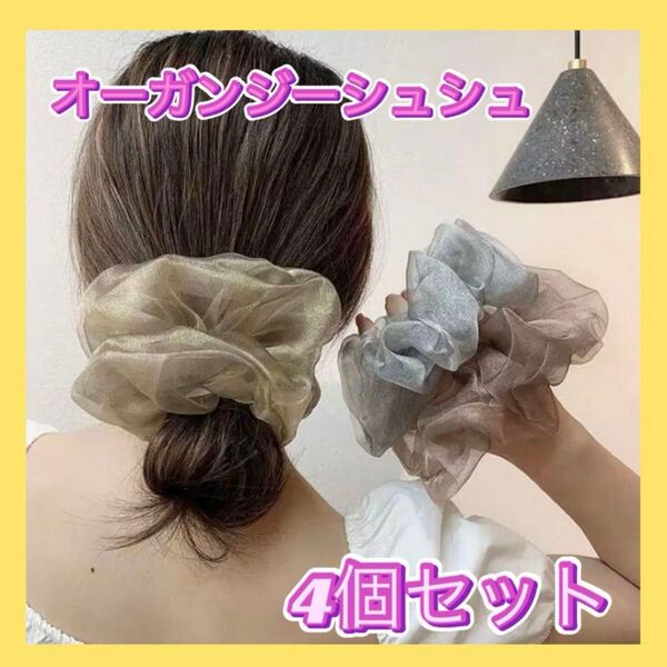 ビッグシュシュ オーガンジー シースルー 透け感 ヘアゴム まとめ売り