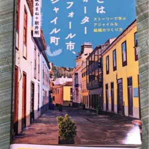 【美品&初版】ここはウォーターフォール市、アジャイル町 ストーリーで学ぶ