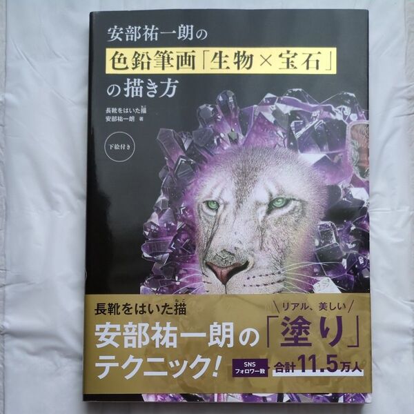 安部祐一朗の色鉛筆画「生物×宝石」の描き方 安部祐一朗/著