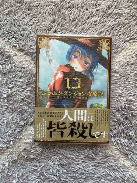 ふかふかダンジョン攻略記~俺の異世界転生冒険譚~ 13巻