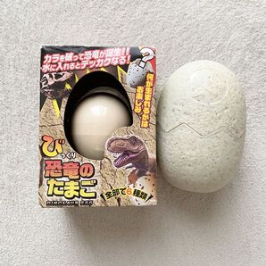 びっくり恐竜のたまご 2個セット 未開封