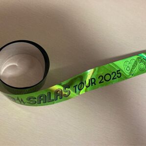 INABA/SALAS TOUR 2025 銀テープ イナバサラス イナサラ 銀テ