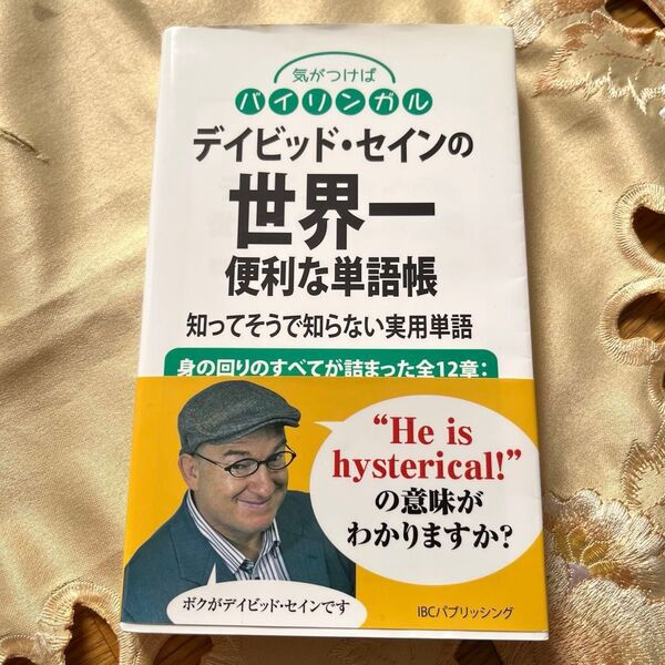 デイビッド・セインの世界一便利な単語帳知ってそうで知らない実用単語 (気がつけばバイリンガルデイビッド・セイン/著 マーカー線あり