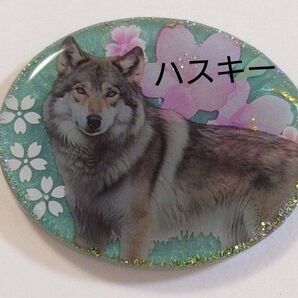 ハスキーちゃんキラキラかわいいレジンアクセサリー シベリアンハスキー シベリアンハスキーアクセサリー レジンヘアゴム