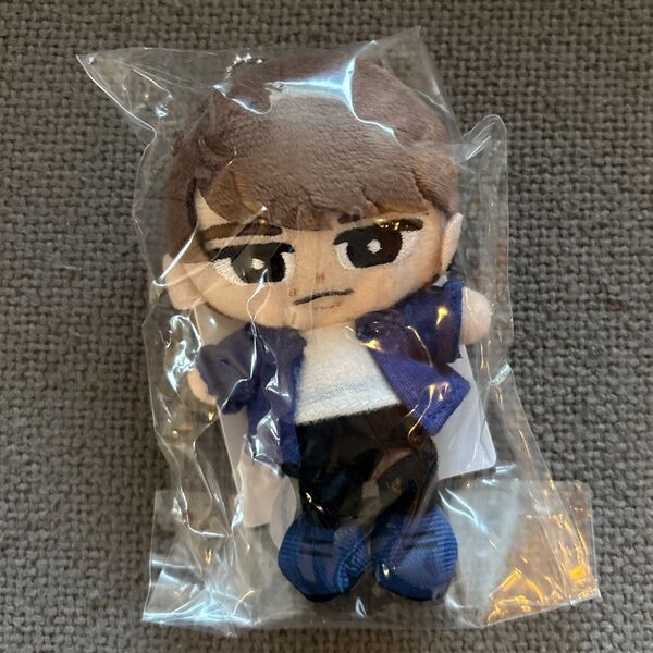 新品未開封 Snow Man 渡辺翔太 すのチルぶら下がりシリーズ ぬいぐるみver. DOME