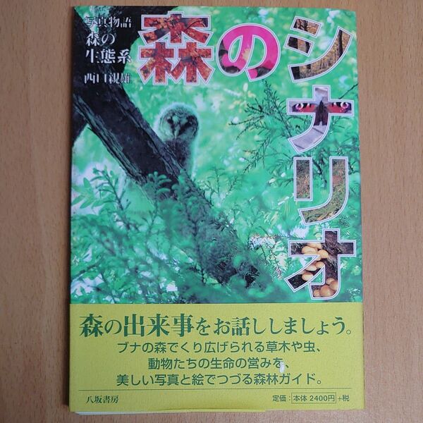 森のシナリオ 写真物語・森の生態系 新装版 西口親雄/著
