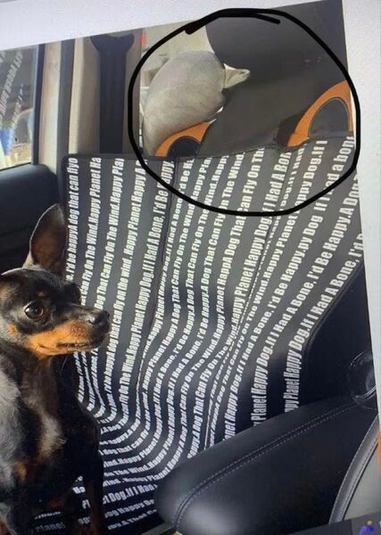 2枚セット ペットシート 前後部防水パッド 犬 ペット用品 車用ペットマット