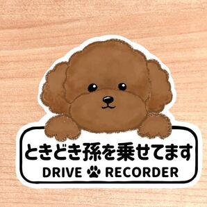 【トイプードルボード】 ときどき孫を乗せてます マグネット シール 吸盤