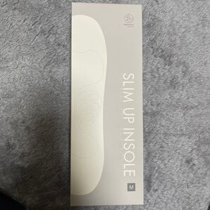 スリムアップインソール M 25-26.5
