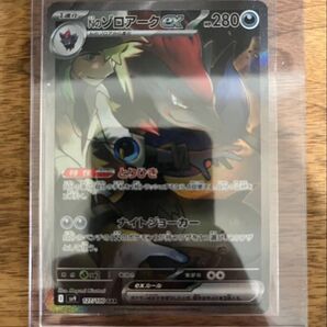 Nのゾロアークex sar
