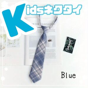 スクールネクタイ ネクタイ ブレザー 制服 学生服 卒園式 入学式 結婚式 お呼ばれ 記念写真 スーツ