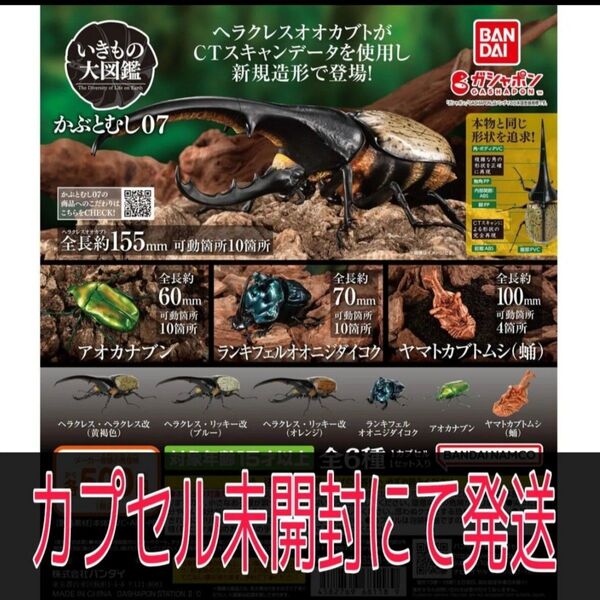 【新品・完全未開封品】いきもの大図鑑 かぶとむし07 全6種コンプリート