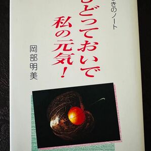もどっておいで 私の元気! 気づきのノート 岡部明美 著