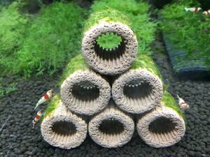 *0 free shipping BIG filter media 6 piece ja Ian to South America Willow Moss attaching 0