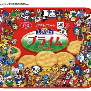 新品 ルヴァンカップ ブランケット 2024