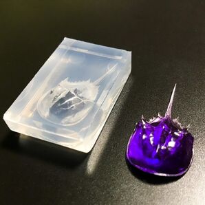 カブトガニ シリコン モールド ③ ※甲羅に凹み?あり