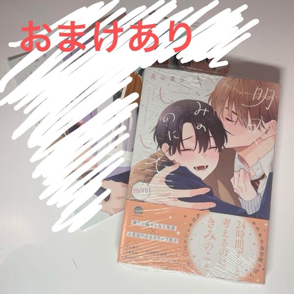 【同梱150円引き!】「明日、君のものにして more」美山薫子