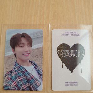 SEVENTEEN RIGHTHERE 愛知会場限定 ディノ 消費期限