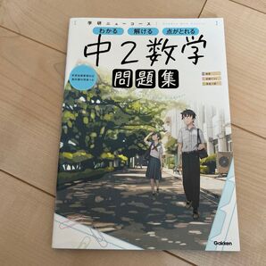 数学問題集 中2