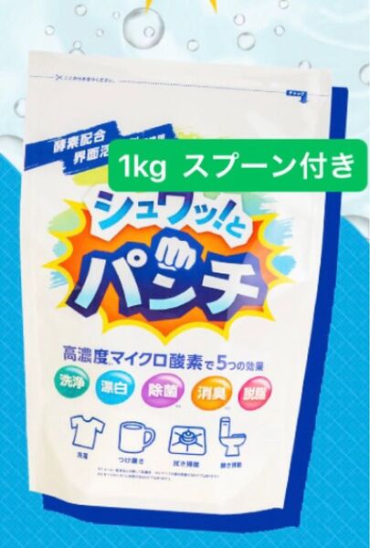 スプーン付き 1kg シュワっとパンチ