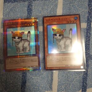 レスキューキャット 25th クオシク まとめ