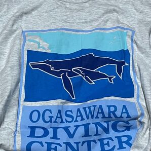 小笠原ダイビングセンター Tシャツ グレー