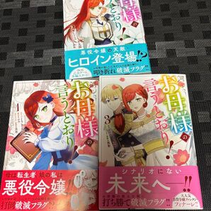 お母様の言うとおり! 3 (ZERO-SUMコミックス) ふみ