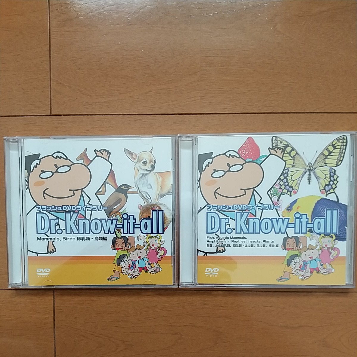 DVD しちだ はっぴぃタイム 12巻セット｜Yahoo!フリマ（旧PayPay